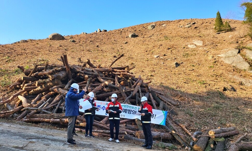 산림청이 소나무재선충병이 발생한 전남 광양의 한 야산에서 모두베기를 한 뒤 후속 조처를 협의하고 있다. 산림청 제공