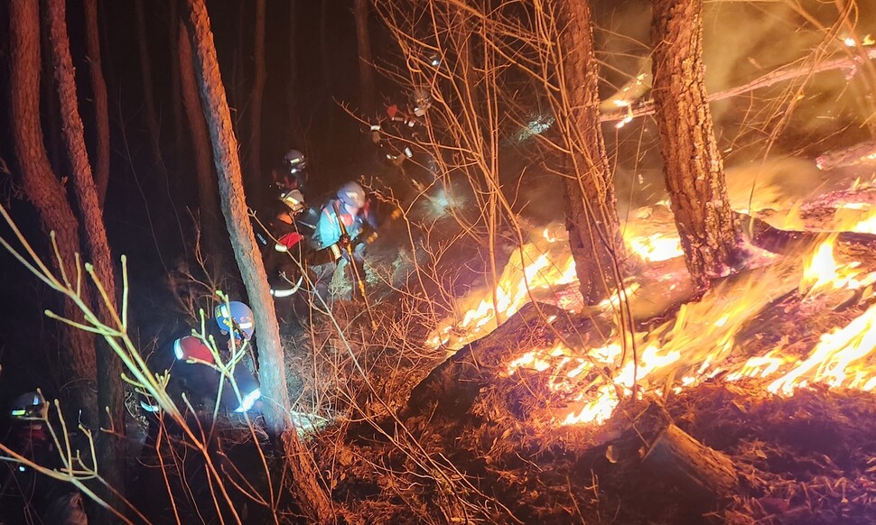 산림청 산불재난특수진화대가 야간 산불진화에 나서 방화선을 구축하고 있다. 산림청 제공