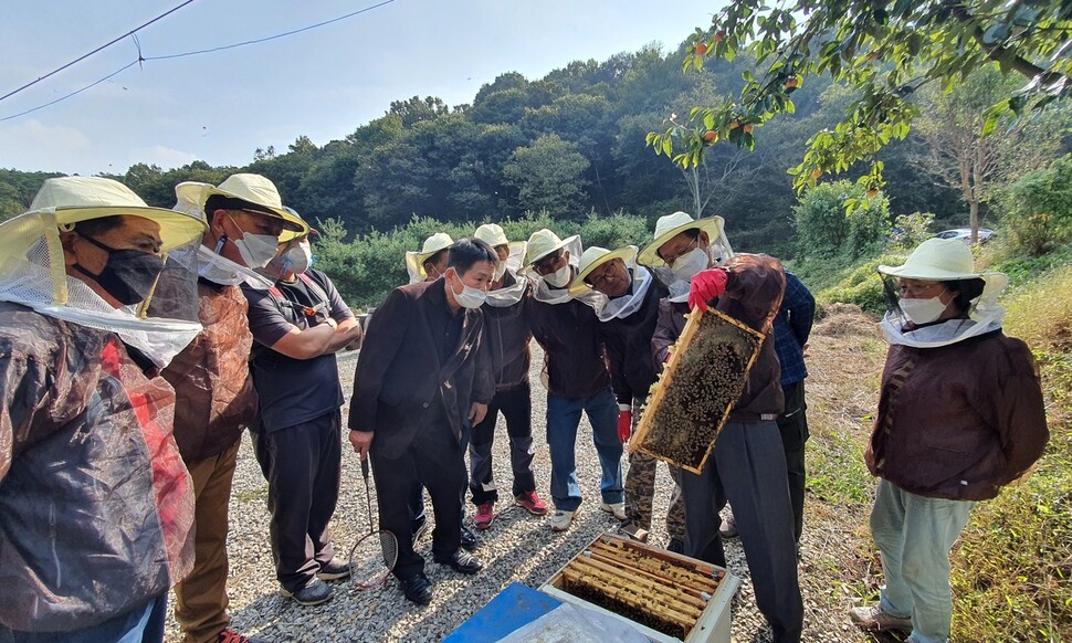 충남 당진시가 지난해 양봉교육을 하고 있다. 당진시 제공