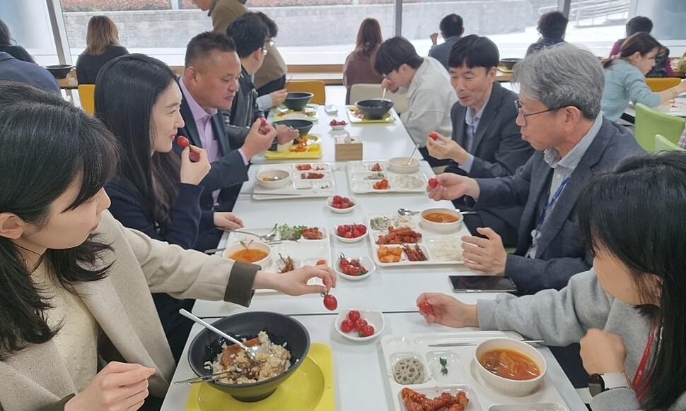 충남도청 공무원들이 13일 구내식당에서 방울토마토를 시식하고 있다. 충남도 제공