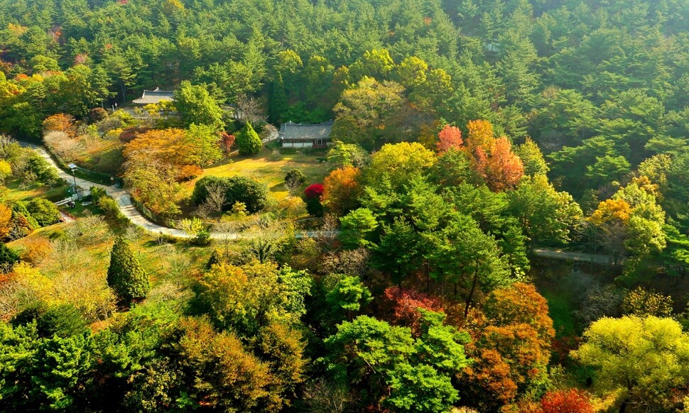 천리포수목원의 7개 정원 가운데 미공개 정원인 목련원(왼쪽)과 종합원(오른쪽)의 가을 풍경. 천리포수목원 제공