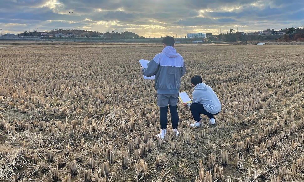 서산버드랜드 직원들이 천수만 볏짚존치 필지에서 생태계 서비스지불제 계약사업 조건이 이행되는지 살피고 있다. 서산버드랜드 제공