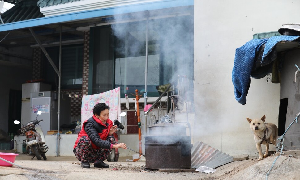 박점례 할머니가 직접 캔 토란잎, 토란대를 삶고 있다. 육남매 중 나물을 좋아하는 셋째딸을 위한 것이다. 백소아 기자