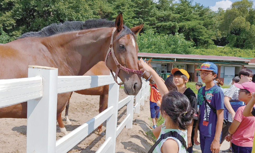 사진 한국마사회 제공