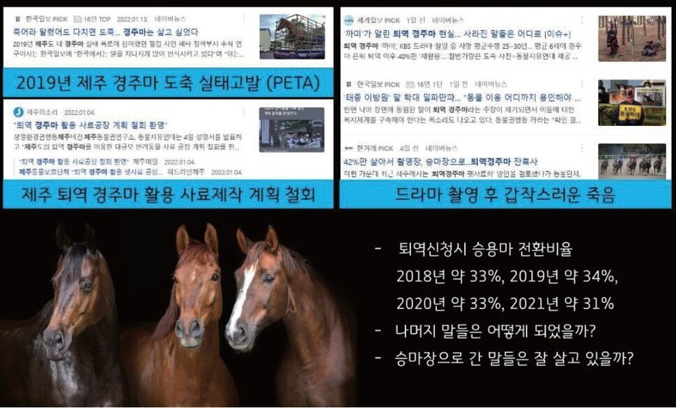 지난 2월 국회에서는 경주마들의 은퇴 뒤 복지를 책임질 체계를 마련하자는 국회 토론회가 개최됐다. 대한재활승마협회 김정현 이사 제공