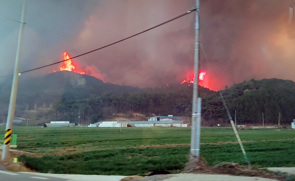 3일 오후 전남 함평군 대동면 연암리에서 발생한 산불.연합뉴스