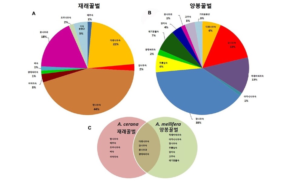 꿀 속 디엔에이로 분석한 밀원 식물의 종류(A, B, 속명). 두 꿀벌의 공동 밀원 식물과 배타적 밀원 식물(C). 사이드 모하마드 제이드 나민 외 (2022) ‘사이언티픽 리포츠’ 제공.