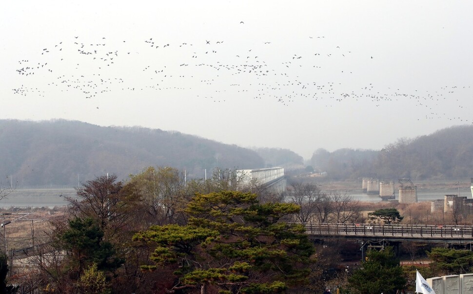 19일 낮 경기 파주 임진각에 철새가 날고 있다. 박종식 기자