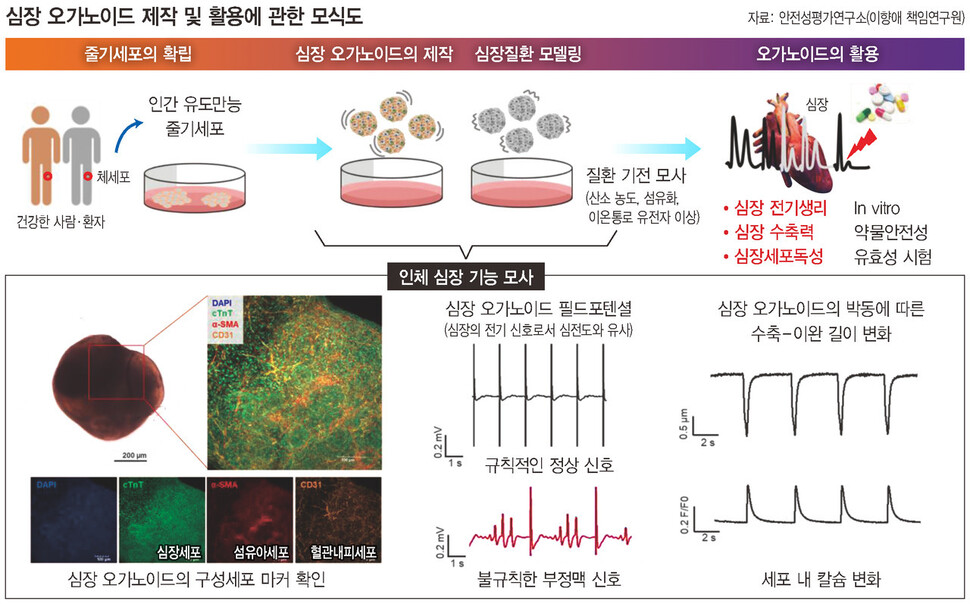  ※ 이미지를 누르면 크게 볼 수 있습니다.