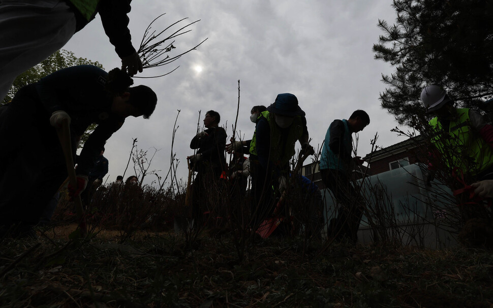 용산 소재 민관학 연합 봉사체 용산 드래곤즈 회원들이 4일 오전 서울 용산구 효창공원앞역 광장에서 식목일을 맞아 나무를 심고 있다. 백소아 기자