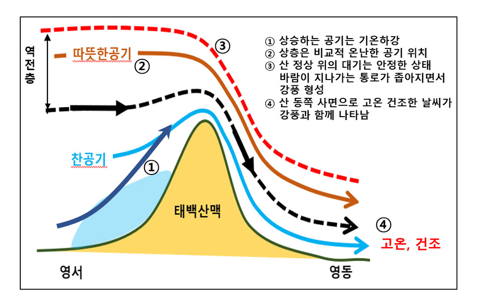 남북고저형 기압계 때 영동지역에 강한 바람이 부는 원리를 나타내는 모식도. 기상청 제공