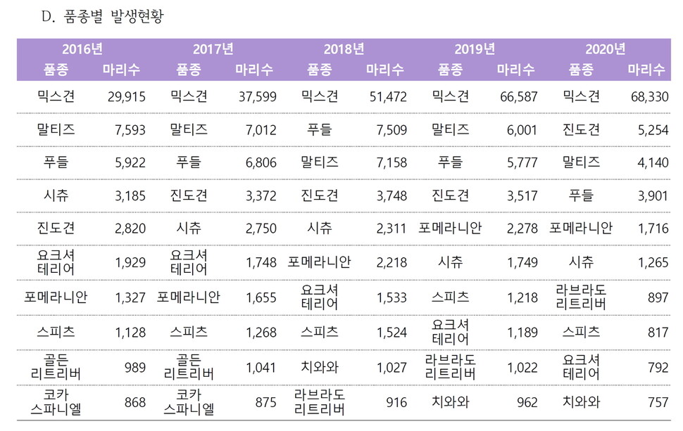 2016-2020 유실·유기동물 분석 보고서. 동물자유연대 제공