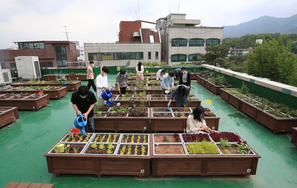 도봉도서관은 도서관 이용자와 지역주민들에게 매년 청렴옥상텃밭을 분양해 운영하고 있다. 서울시교육청 도봉도서관은 청렴실천의지를 다지기 위해 ‘친환경 청렴 텃밭’을 관리하고 있다. 박종식 기자