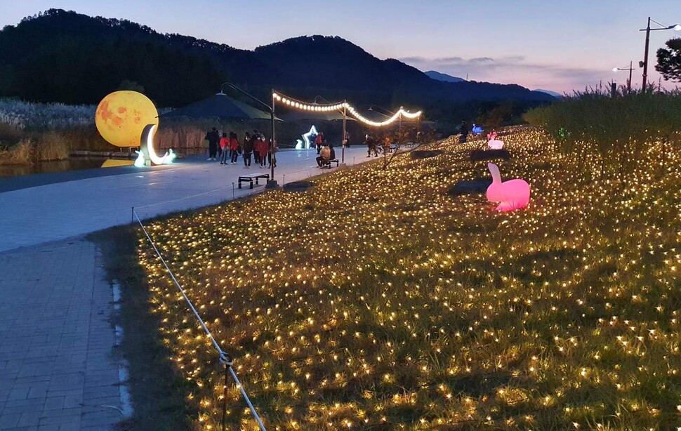 야간 경관조명을 설치하고 지정 1주년 기념행사 준비 중인 태화강 국가정원. 울산시 제공