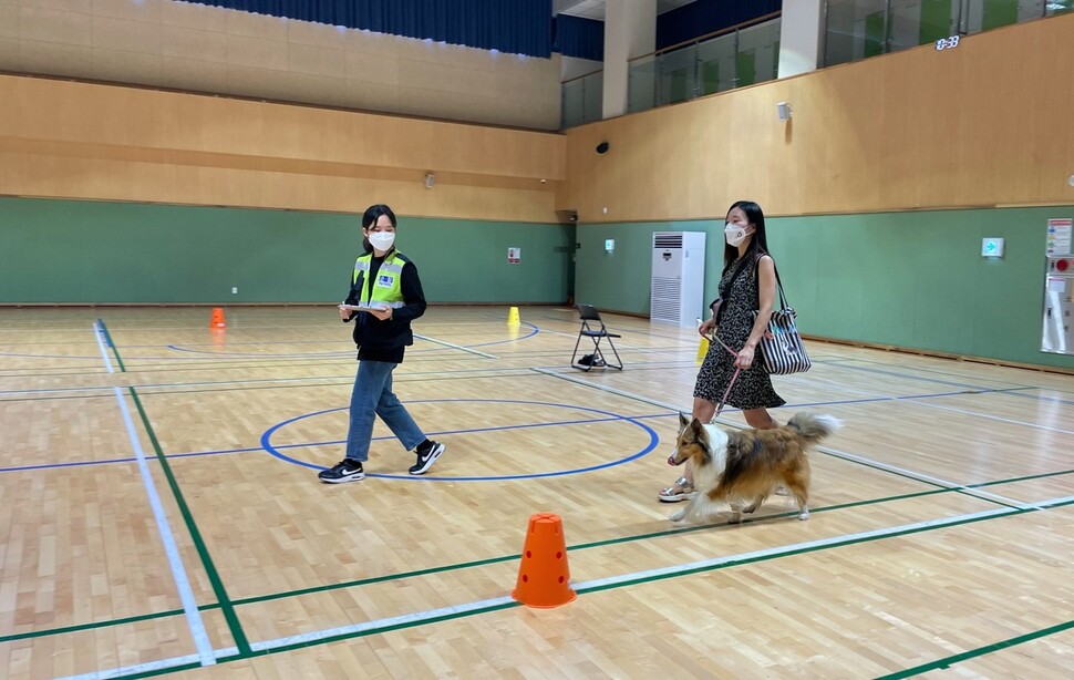 지난 21일 서울 서대문구 홍은동 서대문문화체육회관에서 ‘서울시 반려견 순찰대’ 선발 심사가 진행됐다. 반려인 김예은씨가 ‘관우’와 함께 실내 코스 실기시험을 치르고 있다.