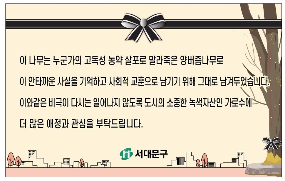 서울 서대문구가 ‘독살 가로수’에 걸어두었던 표지판. 서대문구 제공