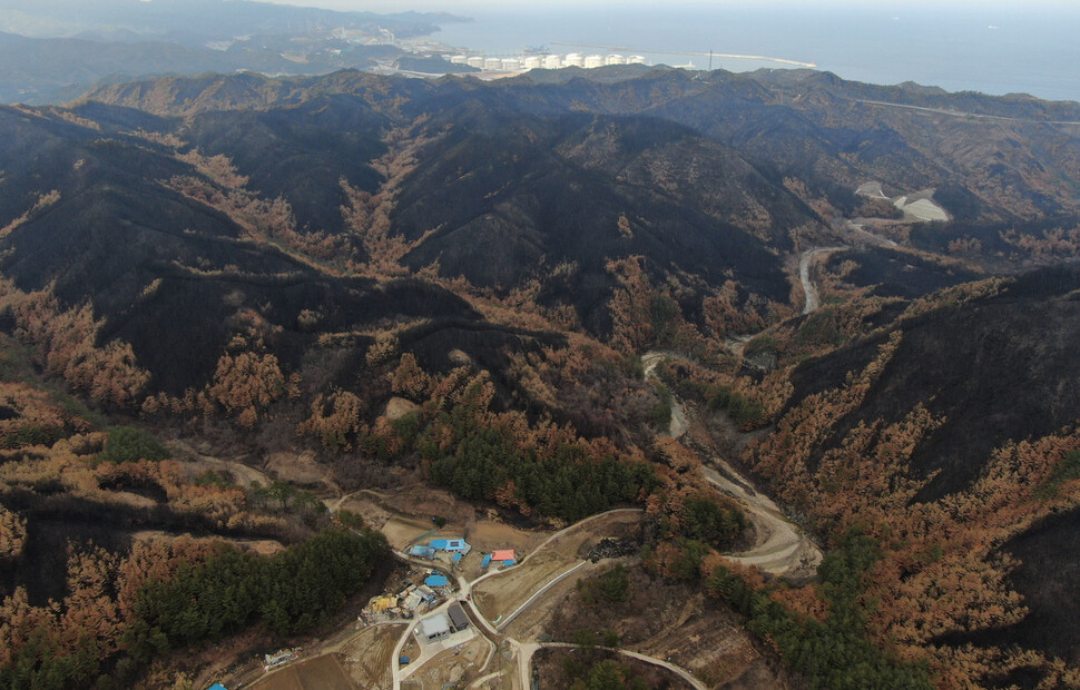 21일 경북 울진군 북면 까맣게 탄 응봉산과 도화동산 뒤로 하얀색 건물의 한울 원전과 파란 동해바다가 보이고 있다. 울진/백소아 기자 thanks@hani.co.kr