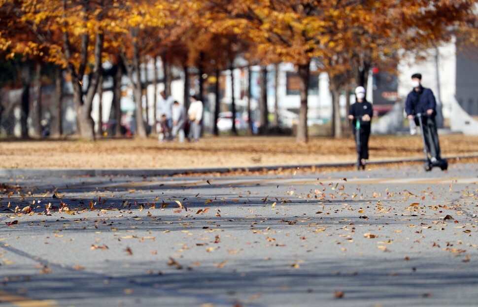 8일 오후 경북 경산시 영남대학교 캠퍼스에서 낙엽이 바람에 날리고 있다. 연합사진.