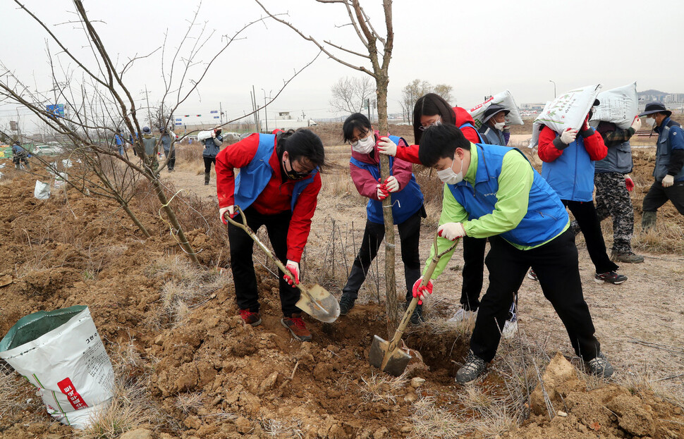 서울환경연합 회원들이 23일 오전 서울 강서구 김포공항 인근 오쇠삼거리 일대에서 ‘제13회 온난화 식목일’ 행사를 진행하며 이팝나무를 심고 있다. 김경호 선임기자 jijae@hani.co.kr