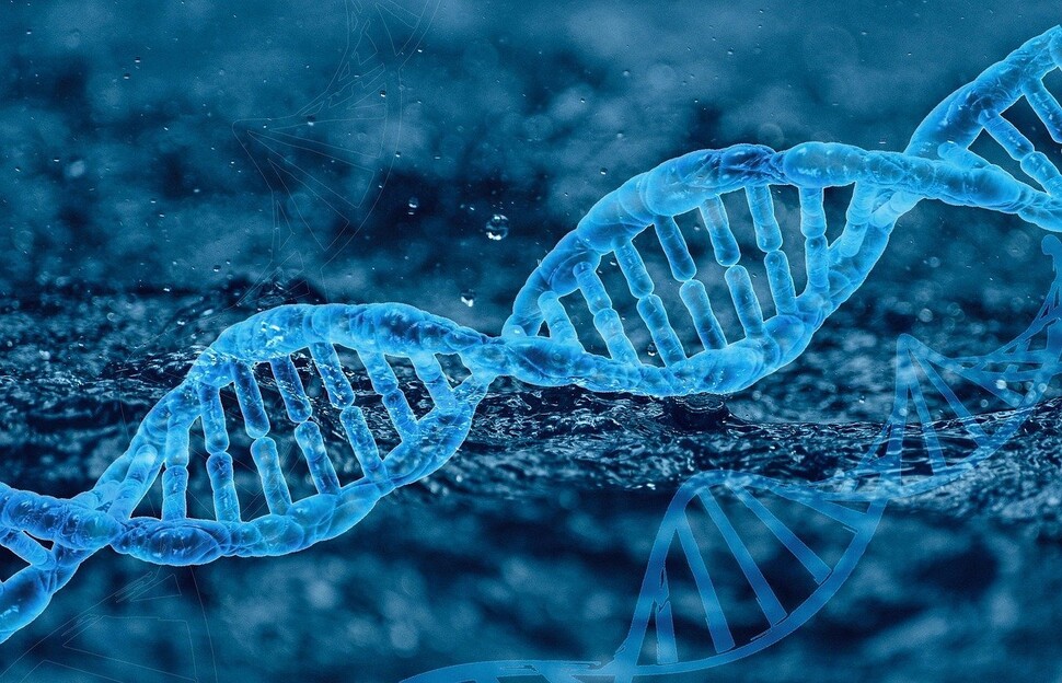 동물의 침, 숨, 털 등에서 나온 미세한 디엔에이(DNA) 조각을 검출해 염기 배열을 해독하면 어떤 동물에서 나왔는지 알 수 있다. 픽사베이 제공.