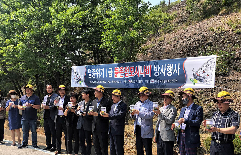 지난해 6월 9일 충북 영동에서 연 붉은점모시나비 복원을 위한 방사 행사 모습.