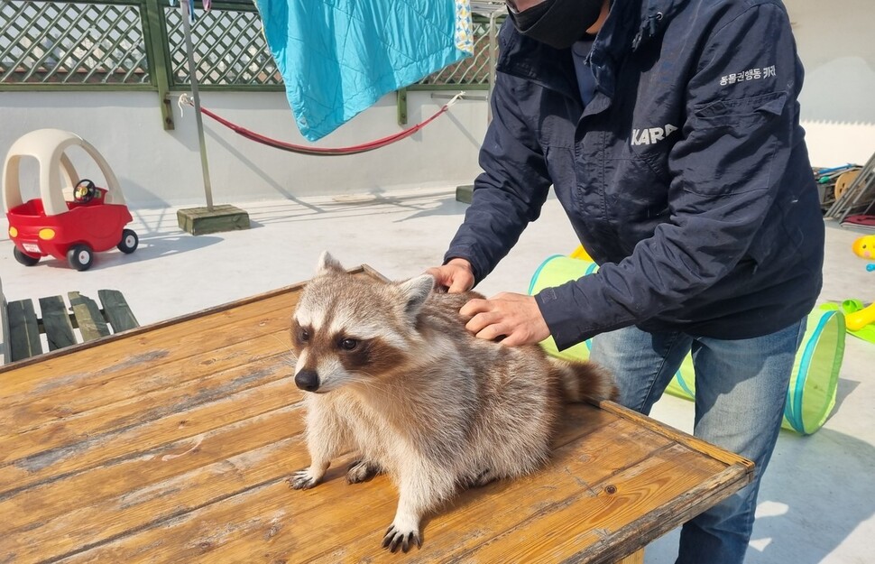 활동가들은 재개발 현장에 갈 때마다 버려진 장난감을 주워왔다. 중고거래로 플라스틱 미끄럼틀과 시소, 목마 같은 것들을 구해오기도 했다.