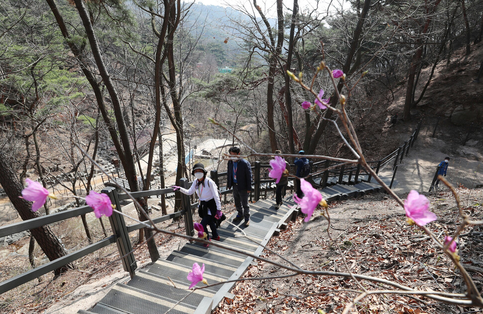 등산로를 오르던 시민들이 진달래 등 산에 핀 꽃들을 보고 있다. 신소영 기자