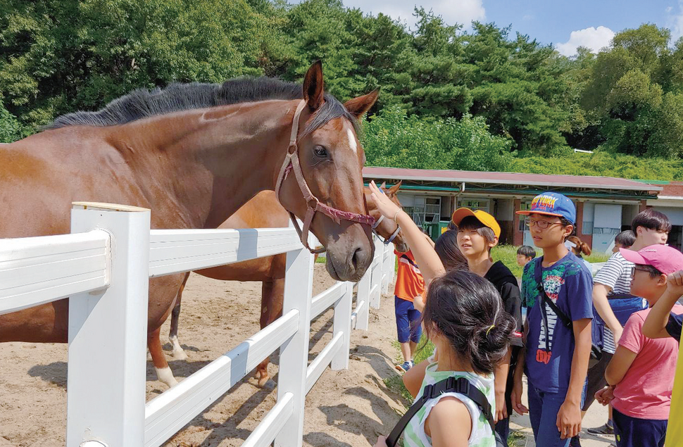 사진 제공 한국마사회 사진 제공 한국마사회