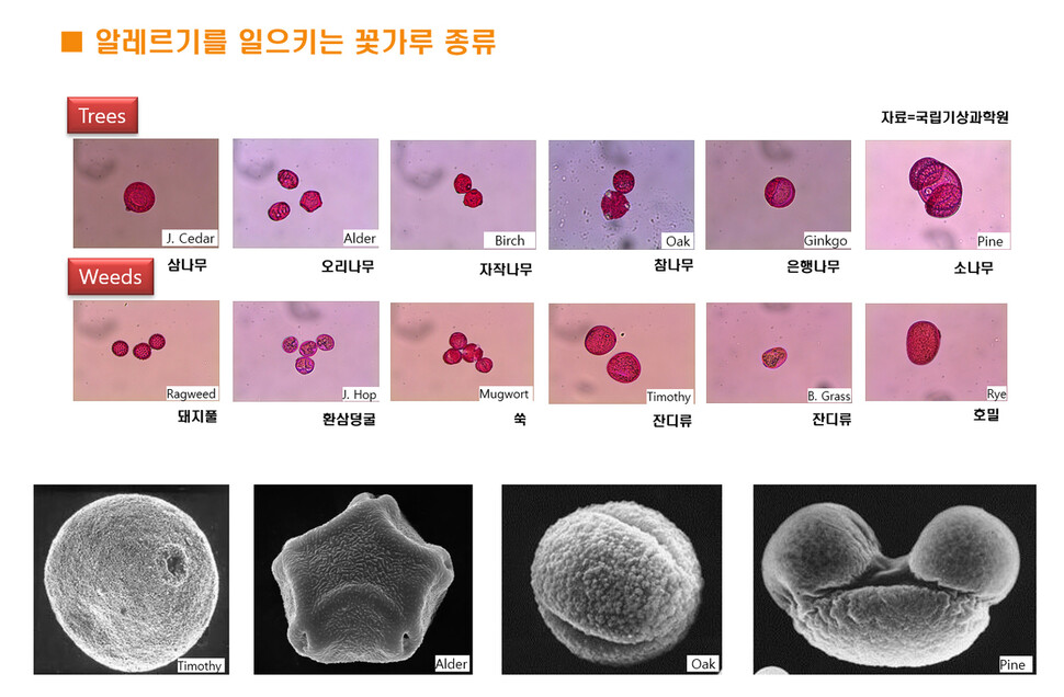 국립기상과학원 제공