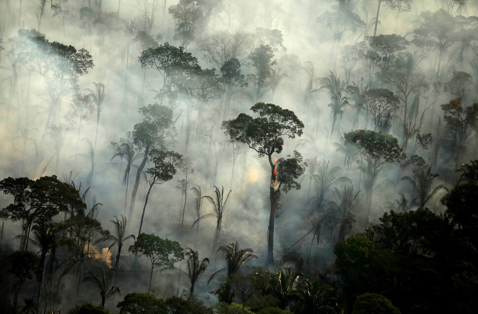 “파괴 중단을” “목재 수입 탓”…유럽-브라질, 아마존 ‘네탓’ 공방