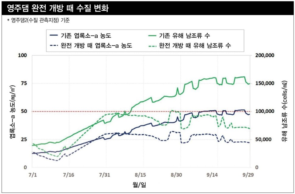 그래픽_안효정 영상소셜팀