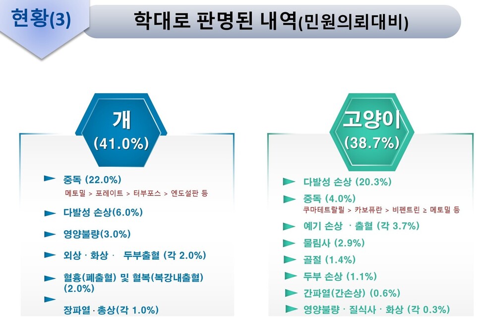 수의법의검사 민원 중 동물학대로 판명된 내역. 농림축산검역본부 제공