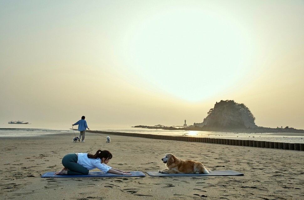 충남 태안군의 안면도 꽃지해수욕장을 찾은 여성이 반려견과 마주 보며 도가(Dog Yoga)를 하고 있다. 한국관광공사 제공