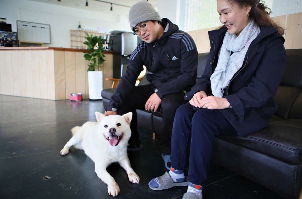 올 봄 밴쿠버에 가기로 되어 있던 ‘칠복이’가 경기 파주 웰컴포즈에서 시간을 보내고 있다. 이정수 웰컴독코리아 대표(오른쪽)와 조영모 웰컴포즈 대표는 “해외 입양 뒤 개들이 파양되는 일이 없도록 사회화 훈련을 완벽하게 시킨 뒤 보낸다”고 말했다.