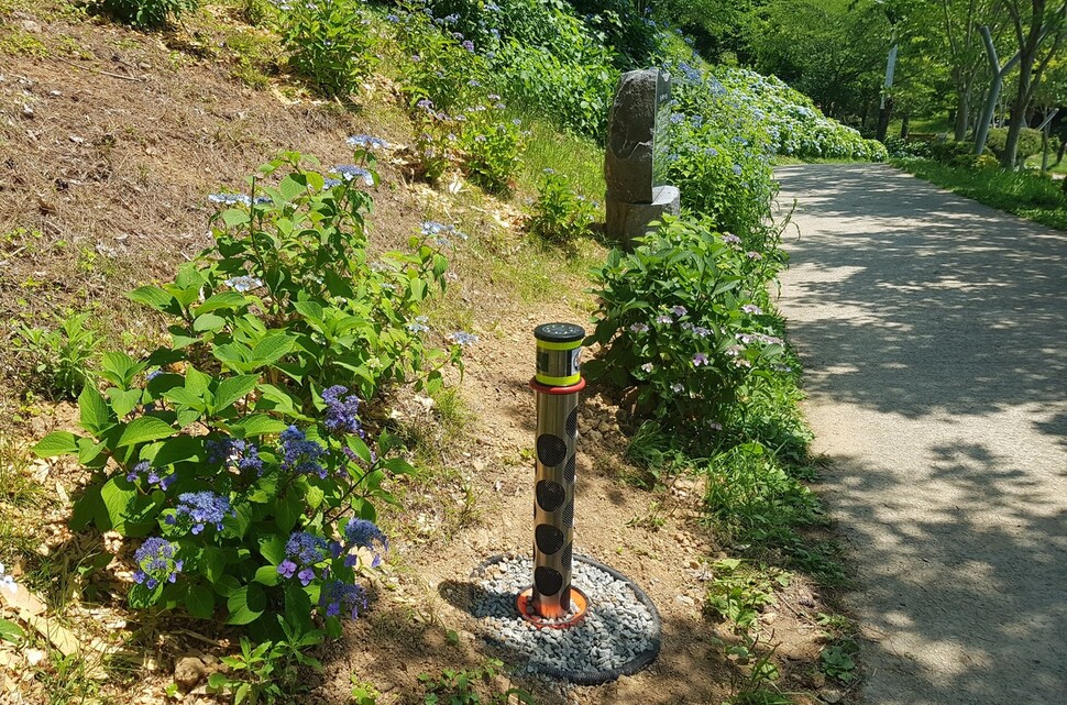 산책을 하다가 반려견은 옆에서 소변을 볼 수 있도록 했다. 통영시 제공