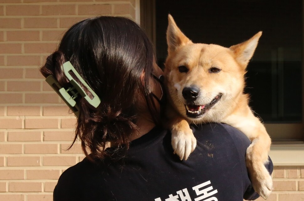 요새 올리버는 슬그머니 눈치를 보며 사람 품에 몸을 기대어 쓰러지는 법도 배웠다.