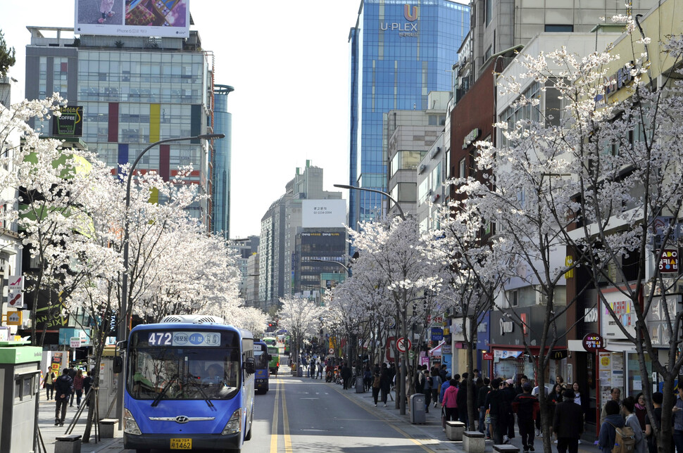 연세로. 서대문구 제공