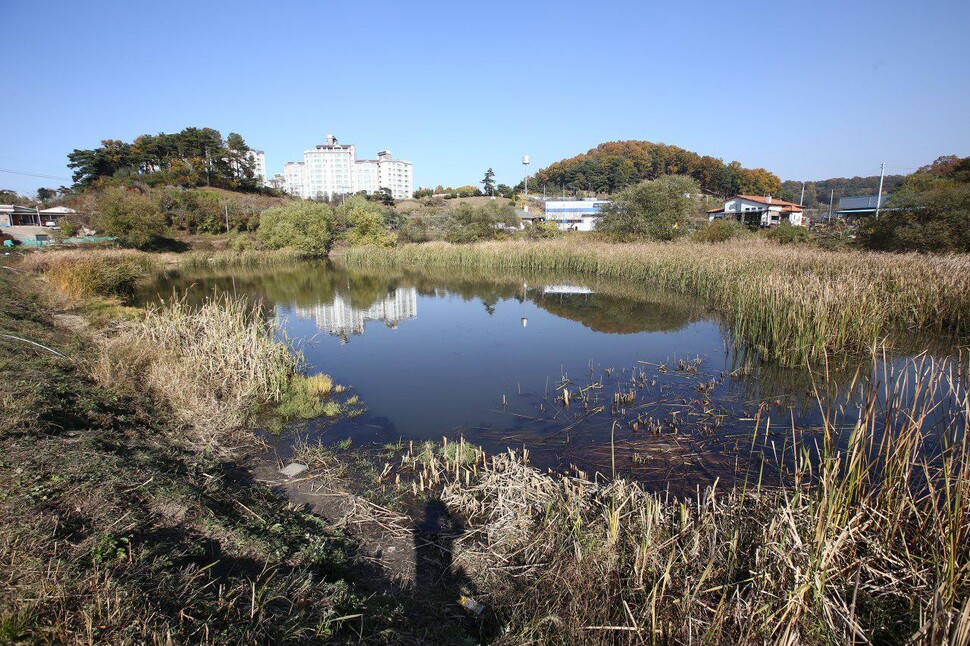 도시공원 해제 예정지인 충북 청주 구룡산공원 원흥이방죽. 이성수 제공