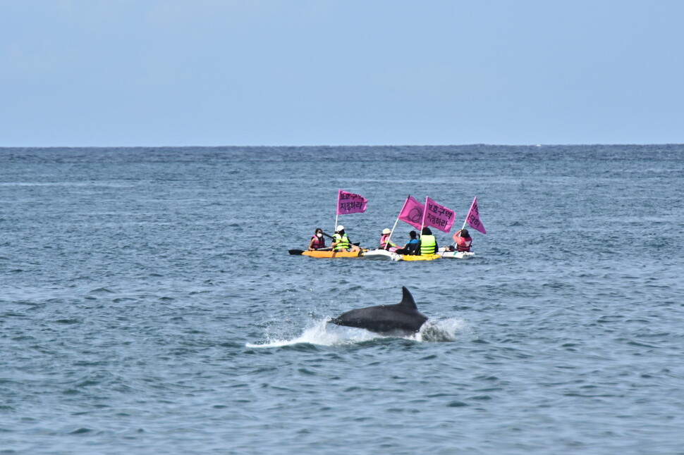 핫핑크돌핀스 회원들은 이날 카약을 나눠타고 바다로 나가 관광선박 주변에서 구호가 적힌 현수막과 피켓을 들고, 보호종인 야생 돌고래들의 보호를 주장하는 시위를 펼쳤다.