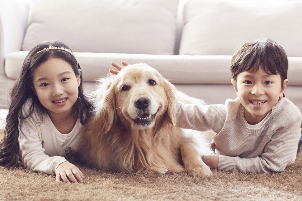 여야 대선 후보들도 1500만 반려인의 마음을 얻기 위해 반려동물 복지 공약들을 일찌감치 내놓고 ‘펫심 잡기’에 공을 들이고 있다. 게티이미지뱅크