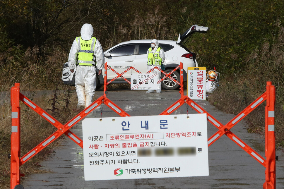 지난해 11월 전남 나주의 한 육용오리 농장에서 고병원성 조류인플루엔자(AI) 의심 사례가 발생해 방역 당국이 진입로를 통제하고 있다. 지난해에 이어 올해에도 오리농장에서 고병원성 인플루엔자가 발생했다. 연합뉴스