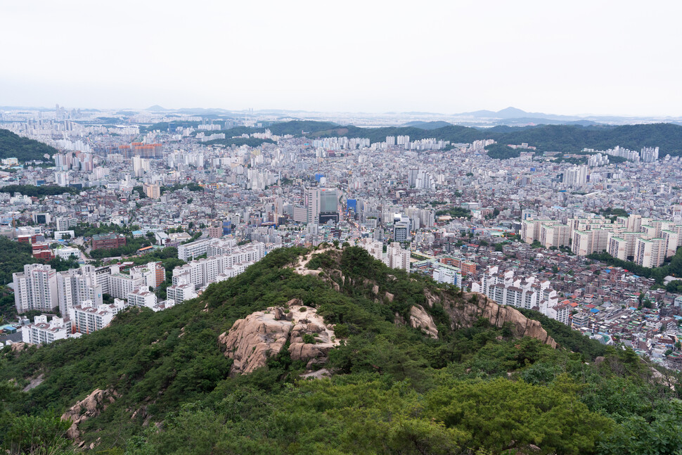 북한산에서 바라본 은평뉴타운. 2002년부터 시작된 서울시의 뉴타운 개발 사업은 한국 사회에 들개를 퍼뜨린 결정적인 계기가 됐다. 권도연 작가