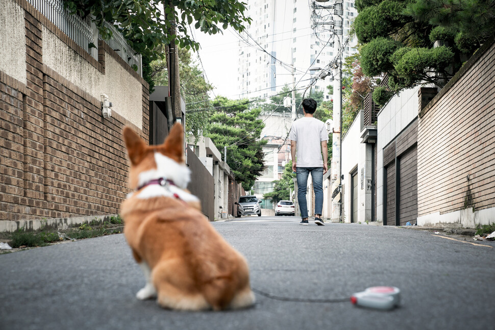 동물자유연대는 가가 관리하지 않고 있는 사육 포기, 파양 동물을 이용한 이러한 업태가 추후 더 늘어날 것으로 분석했다. 게티이미지 뱅크