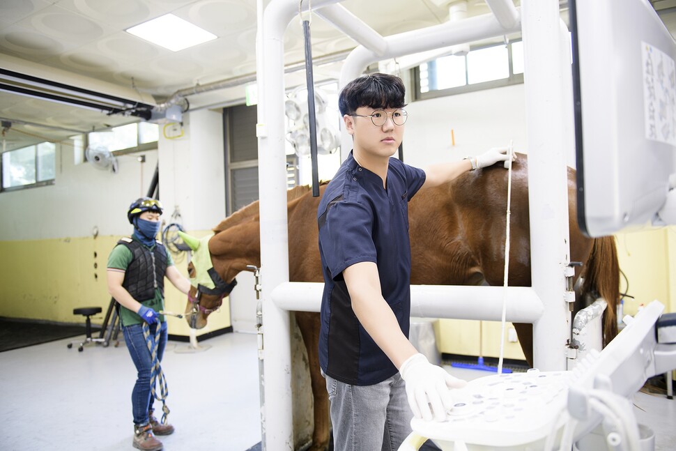 한국마사회 렛츠런파크 서울 진료 담당 김영종 수의사. 사진 최성열