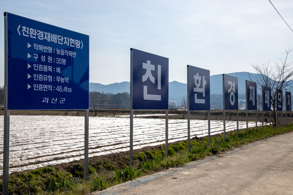 충북 괴산군의 늦들작목반 친환경 재배단지. 괴산군은 ‘유기농업군’을 선포하고 친환경 농업 확산에 힘쓰고 있다.