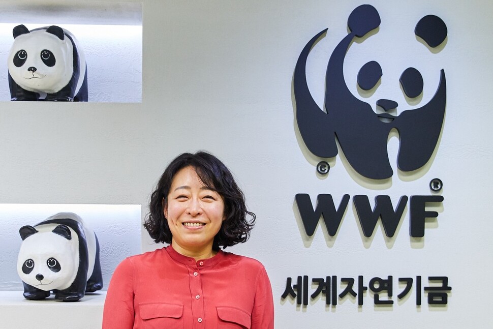 세계세계자연기금(WWF) 한국본부 이영란 해양보전팀장은 세계자연보전연맹 ‘상괭이 보전 결의안’ 채택을 시작으로 본격적인 상괭이 연구가 필요한 시점이라고 말했다. WWF 제공