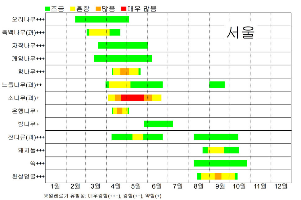 국립기상과학원이 제공하는 꽃가루 달력(서울). 기상청 제공