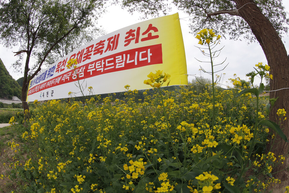 23일 아침 충북 옥천군 동이면 옥천금강수변친수공원 유채꽃밭에 축제 취소를 알리는 펼침막이 내걸려 있다. 옥천/김혜윤 기자