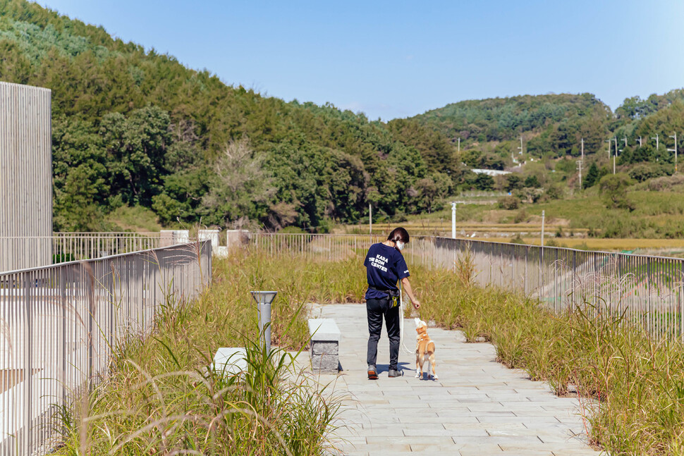 더봄센터 옥상정원에서 개를 산책시키는 카라 동물돌봄팀 활동가.