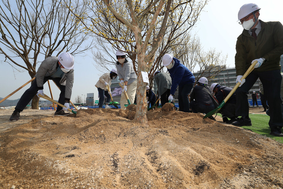 서울 시민, 오세훈 서울시장 등이 함께 산수유 나무를 심고 있다. 신소영 기자